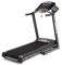 �IA�POMO� BH PIONEER R3 (G6487)