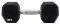  LIGA SPORT DUMBBELL (12.5 KG)