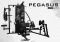  PEGASUS PRO GYM 3  MT-18504-ABC