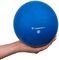  INSPORTLINE YOGA BALL  (4 KG)