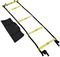   LIGASPORT NIGHT GLOW LADDER ...