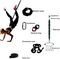   OPTIMUM BUNGEE FITNESS