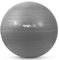 ����� AMILA GYMBALL ���� (75 CM)