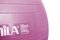  AMILA GYMBALL  (55 CM)
