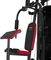 BODY SCULPTURE BMG-4700    66 KG,   & 