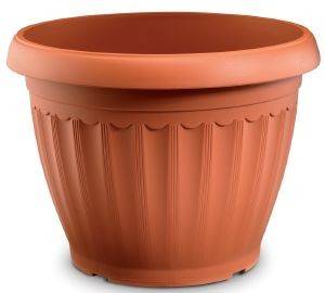 ������� CORFU �������� (�50 CM)