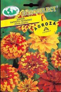 ������ TAPETO