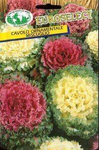 ������������ ������