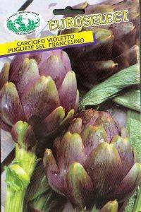  VIOLETTO