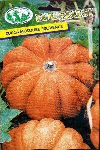 ΚΟΛΟΚΥΘΙ MOSQUEE PROVENCE ΚΟΛΟΚΥΘΙ MOSQUEE PROVENCE