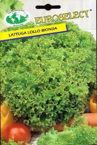  LOLLO BIONDA