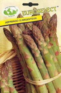 �������� D\' ARGENTEUIL