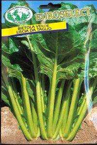 �������� VERDE