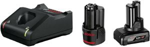  2  BOSCH PRO GBA 12V 2AH + 4AH +  GAL 12V-40 1600A01NC9