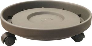 ����� �� ����� ������� (�21 CM)