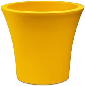 ������� CITY YELLOW �� ����� (35X32 CM)
