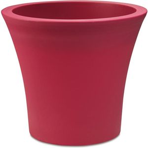 ������� CITY ROSE ���� �� ����� (35X32 CM)