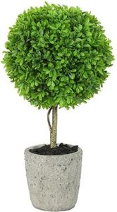��������� BUXUS 40CM