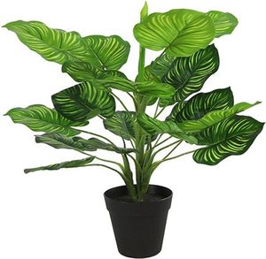 ������� �� ����� 45CM