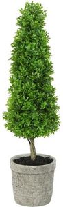 ��������� BUXUS ����� 76CM