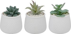 �������� �� ����� �������� ����� 3������ (������ �������) 8,5X12CM