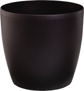 ����� PLASTONA ROTO BRILL �� ����� BROWN �43