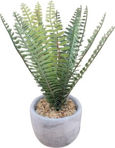 ����� �� ����� 29CM