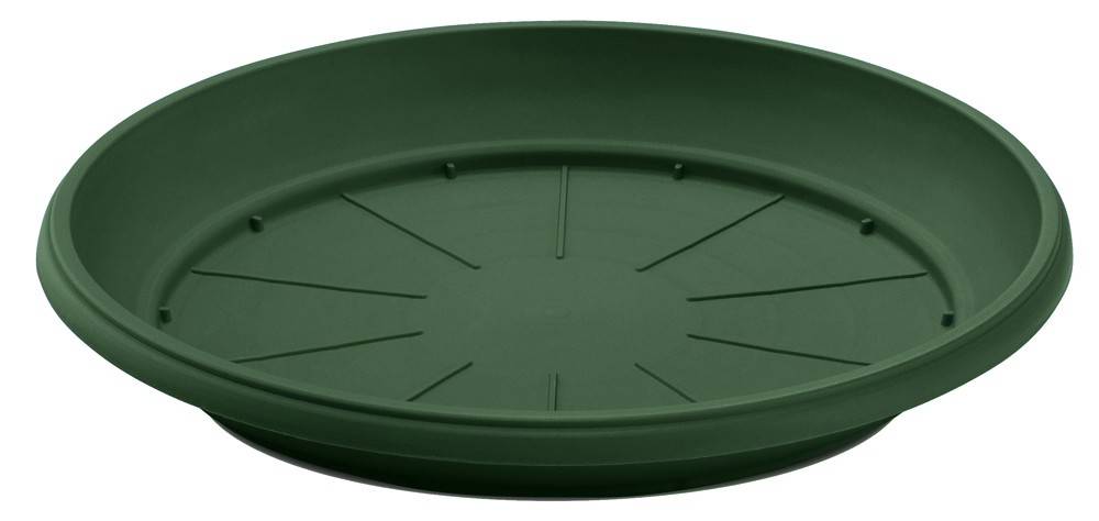 PLUS4U COLLECTION ΠΙΑΤΟ ΓΛΑΣΤΡΑΣ ΠΡΑΣΙΝΟ (48 CM)