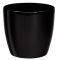 ROTO BRILLANTE   (22 CM...