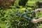   GARDENA EASYCUT 537 (12301-20)