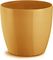 ����� PLASTONA ROTO BRILL GOLD �14