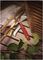 ������� VICTORINOX PRUNING KNIFE XS RED