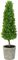 ��������� BUXUS ����� 76CM