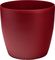 ����� PLASTONA ROTO BRILL �� ����� RED �35