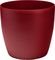 ����� PLASTONA ROTO BRILL �� ����� RED �35