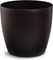 ����� PLASTONA ROTO �� ����� BROWN �35