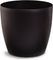 ����� PLASTONA ROTO �� ����� BROWN �35