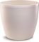 ����� PLASTONA ROTO �� ����� FLORAL WHITE �35