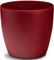����� PLASTONA ROTO BRILL �� ����� RED PASSIO...
