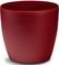 ����� PLASTONA ROTO BRILL �� ����� RED PASSIO...