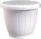 ������� PLASTONA ������ ��������  (23 X 19 CM...