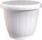 ������� PLASTONA ������ ��������  (23 X 19 CM...