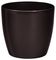 ����� PLASTONA ROTO BRILL BROWN �22