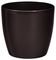 ����� PLASTONA ROTO BRILL BROWN �22