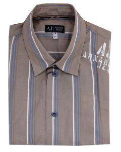 ARMANI     TORTORA (XXL)
