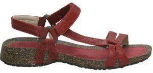 ��������� �������� VENTURA CORK RGAN ������� (37)