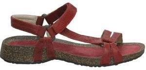 ��������� �������� VENTURA CORK RGAN ������� (40)