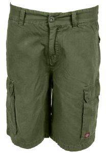 ����  CARGO �������� �� ������ ������ - APACHE RS RELAXED FIT BY DICKIES  (31)