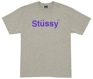 STUSSY T-SHIRT US-CA GREY (M)