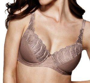 TRIUMPH NEW DESIRE W CUP E ���� ����